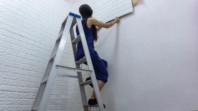 Stainless Steel Ladders